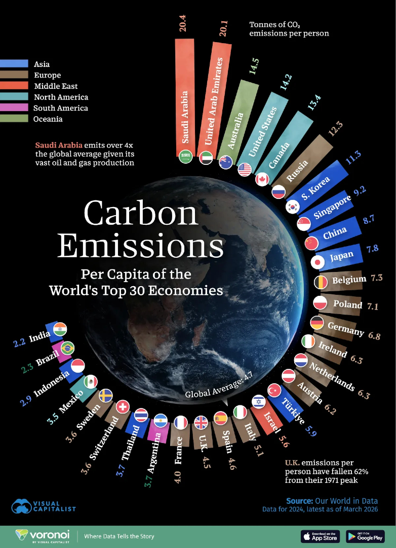 Visual Capitalist tweet media