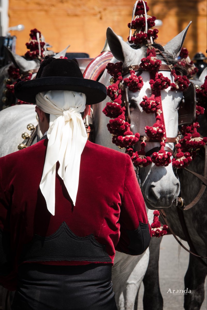 pedroaranda69's tweet photo. Sevillanía y elegancia..

XL Exhibición de Enganches de Sevilla 2026

@Ayto_Sevilla 
@EnganchesAND https://t.co/Ws92DlBf7E
