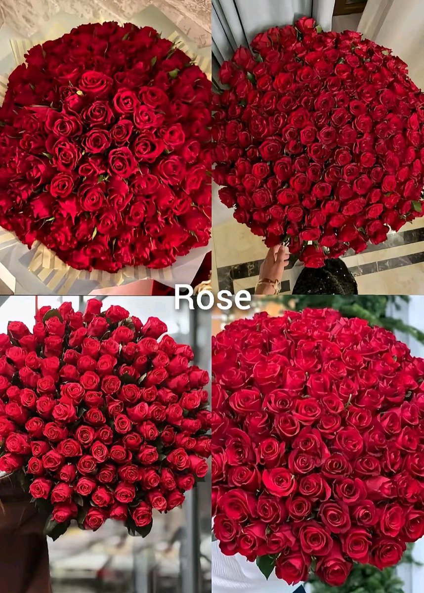 N. 🇵🇸 tweet media