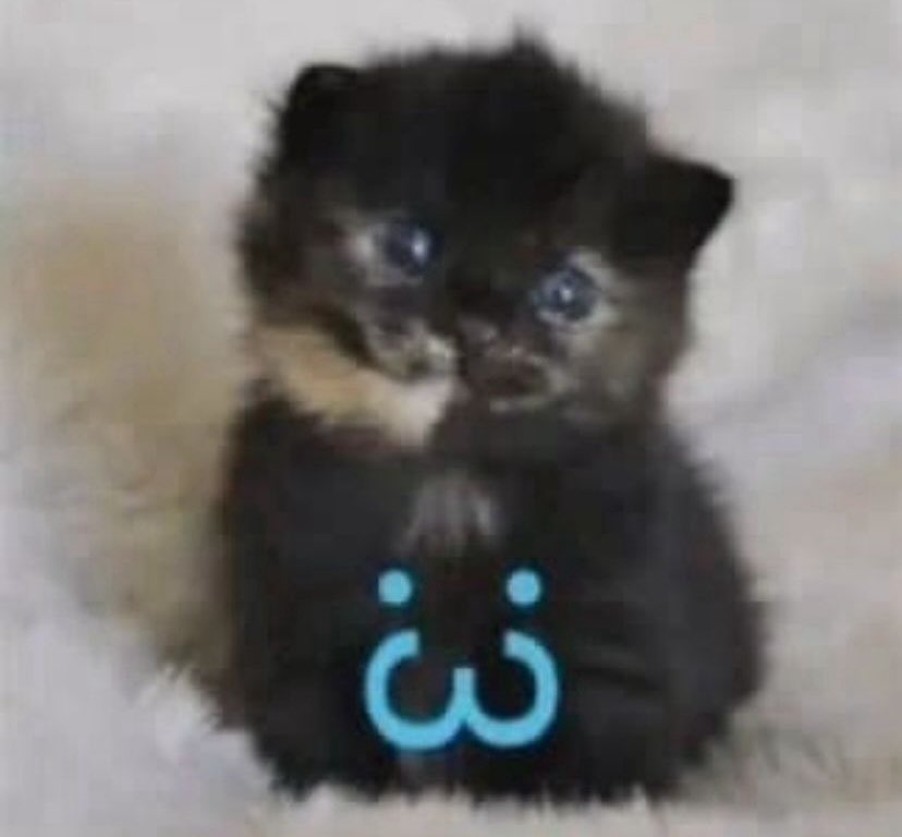 busco chamba en alguna cafetería en scz, me avisan si saben (igual si no es cafetería sirve)