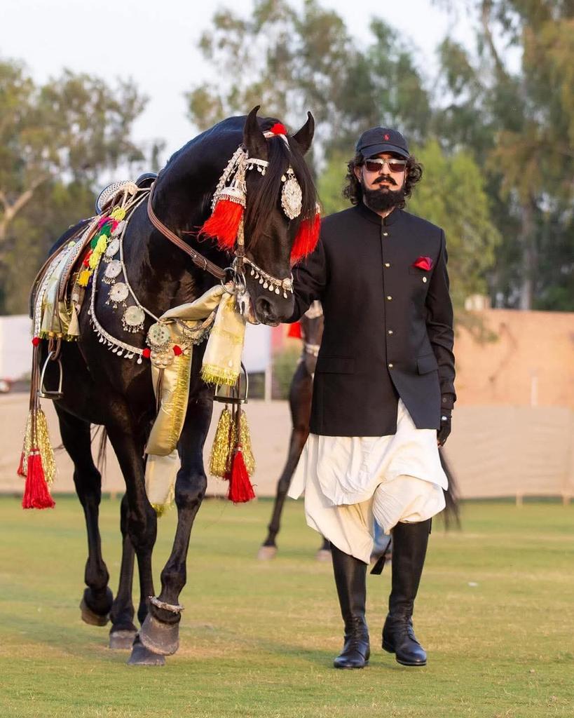 #SultanVicePresidentITPF
#SultanRisesAgain
#GreenFlagRisesAtITPF
ITPF