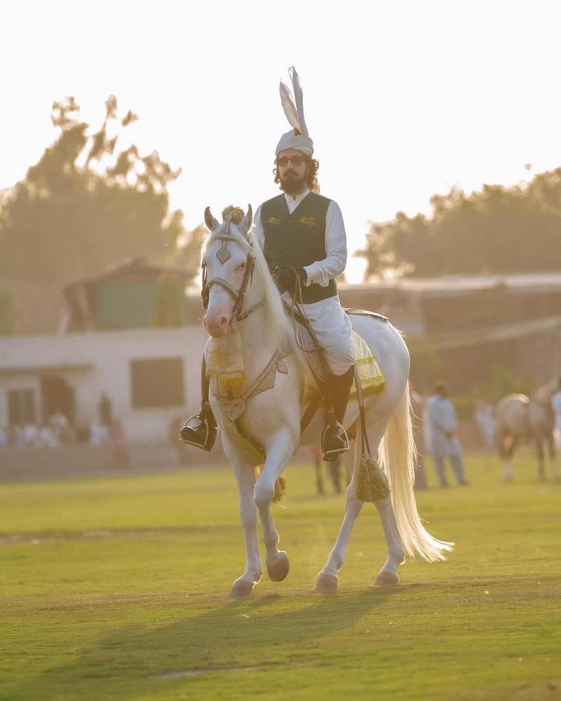 #SultanVicePresidentITPF
#SultanRisesAgain
#GreenFlagRisesAtITPF
87