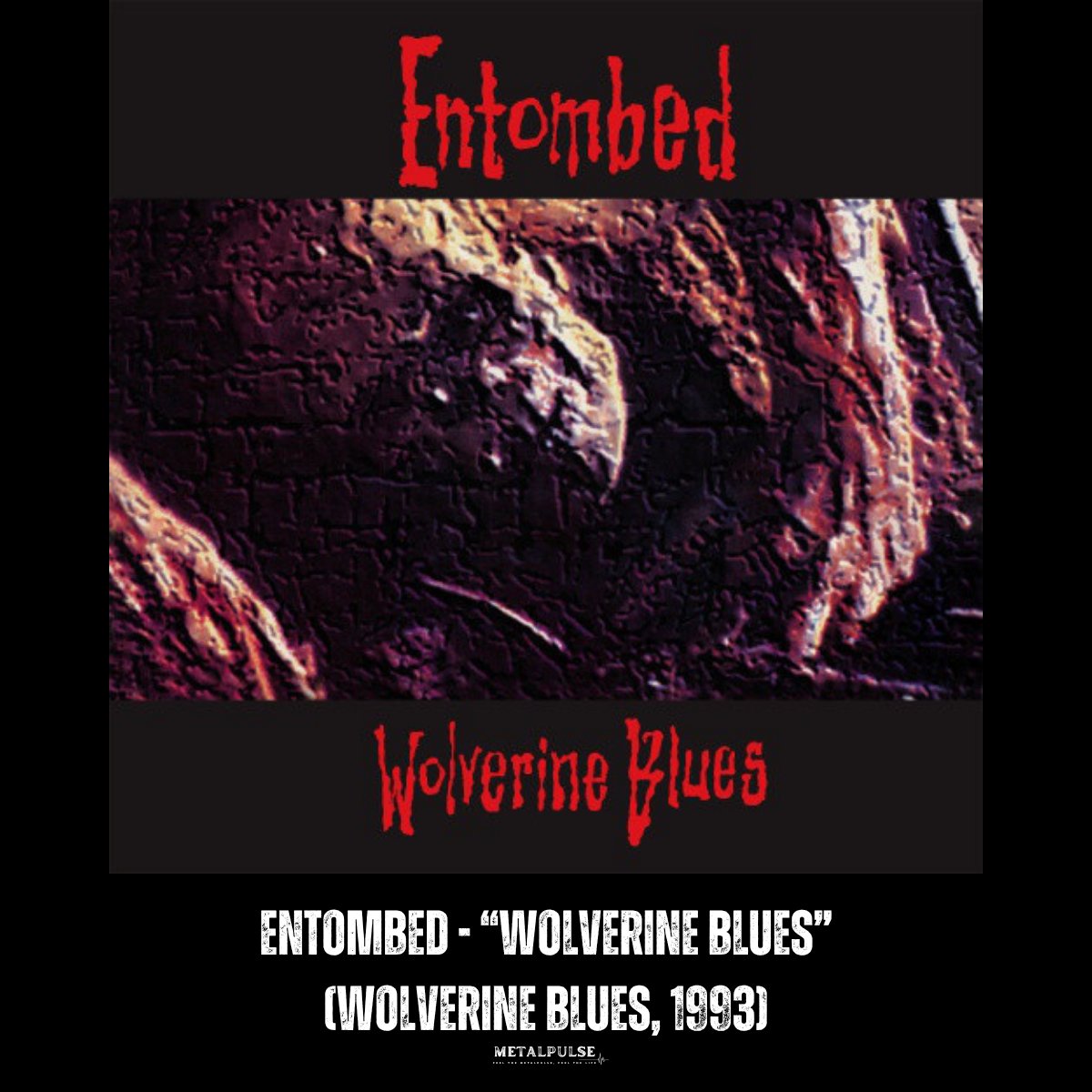 TheMetalPulse's tweet image. What if Wolverine used death 'n' roll instead of claws? Swedish death metal with such a fat groove that even Logan would sing along.

A classic! 🐺

👉 youtu.be/uNi0tsCU-6g

#metalpulse #entombed #deathnroll