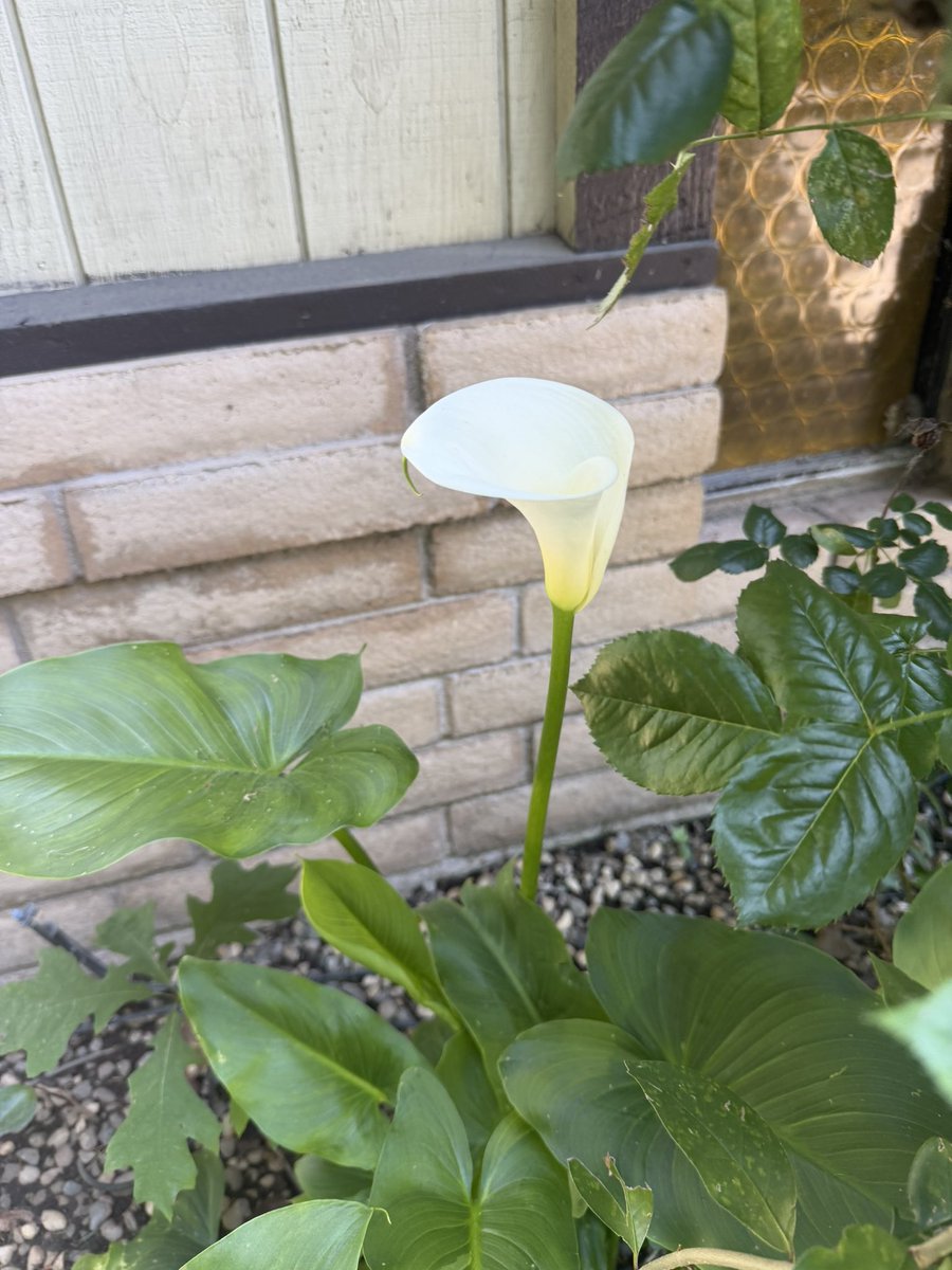 mihalyich🇺🇸 tweet media