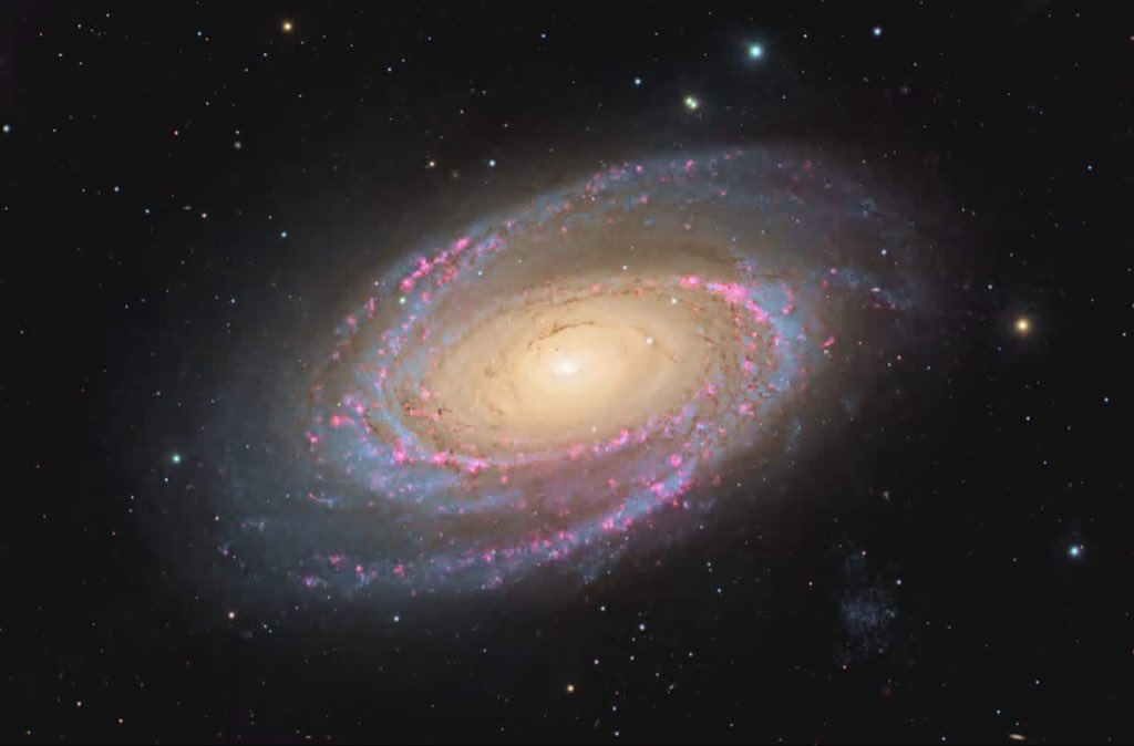 Celestron tweet media