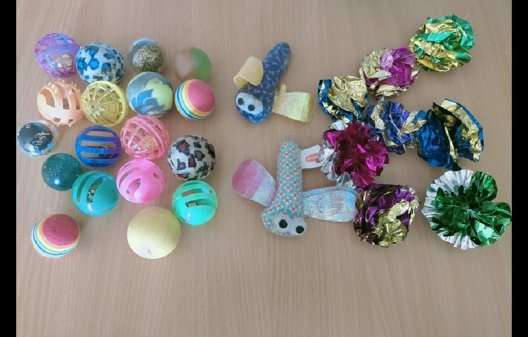 Pépite les beaux zoeils ♂️🦐🧡🕯️🐈‍⬛☃️🍺🌟 tweet media