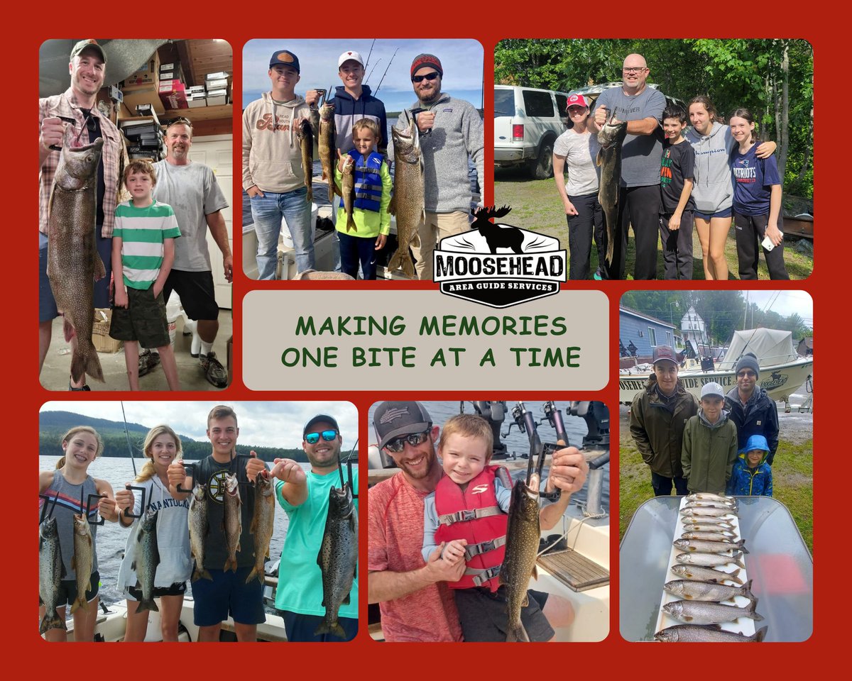 mainemoosetours's tweet photo. Making memories… one bite at a time 🎣💛

Moosehead Lake days just hit different.
#MooseheadLakeFishing #MaineFishing #MakeMemories #FamilyTime https://t.co/IEdSIwdGDB