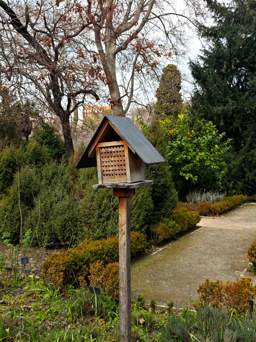 KatySnchez's tweet image. Hotel de insectos. Proporciona refugio y hábitat para insectos beneficiosos como abejas solitarias, mariquitas y crisopas. #insectos #hacerfotos #naturaleza #jardin