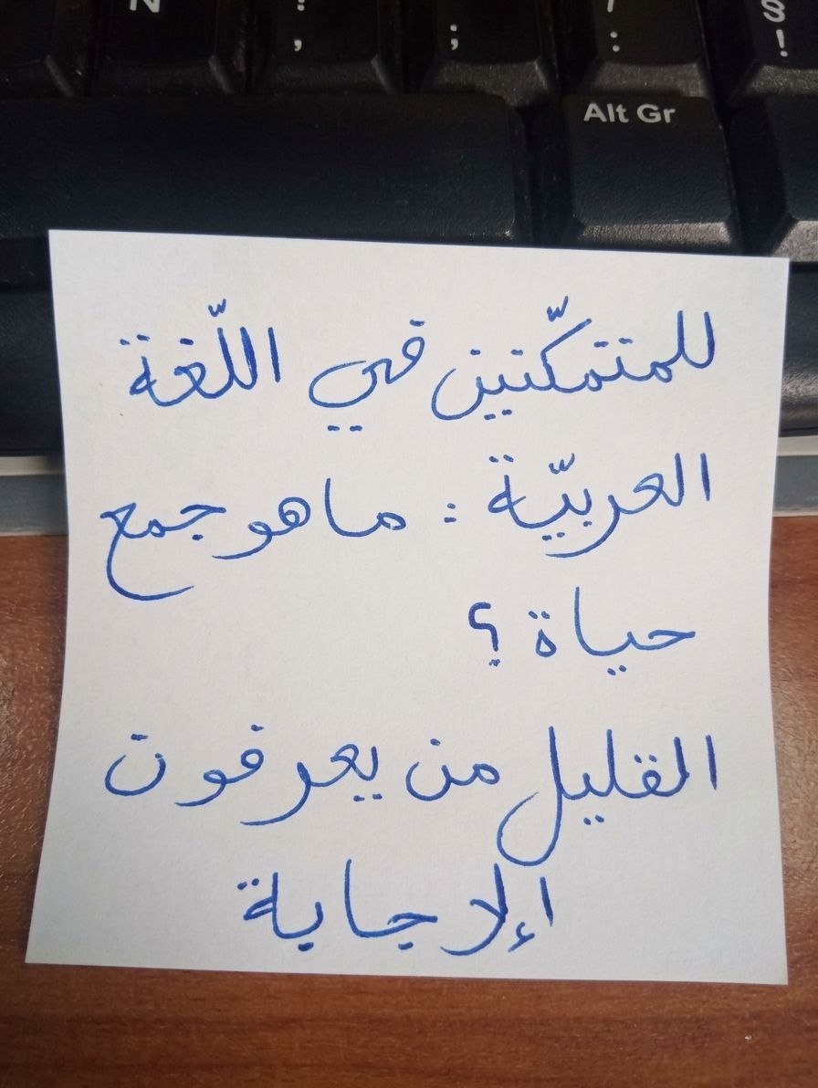 طمأنينة tweet media