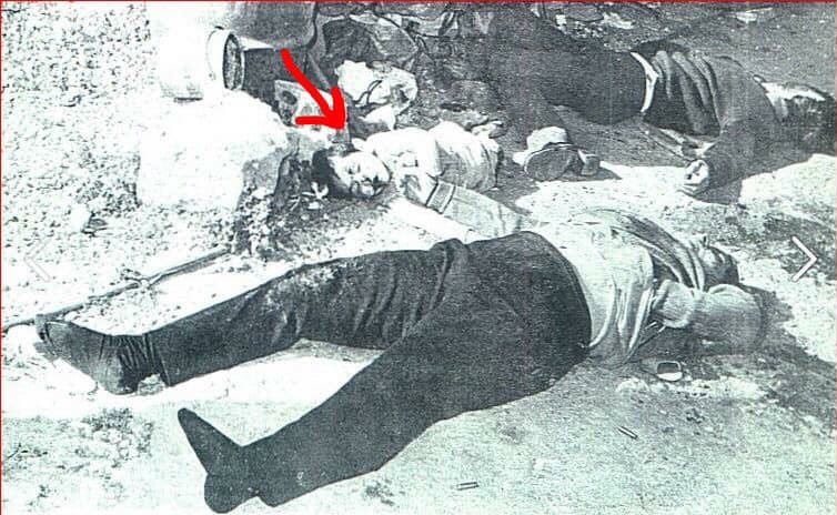 卄𝐎ù𝔰ε 𝐨𝔣 ℙｏє𝐌 _ tweet media