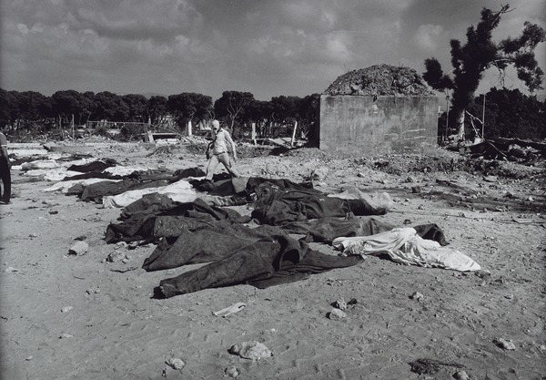 卄𝐎ù𝔰ε 𝐨𝔣 ℙｏє𝐌 _ tweet media