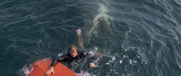 Mike Carolla tweet media