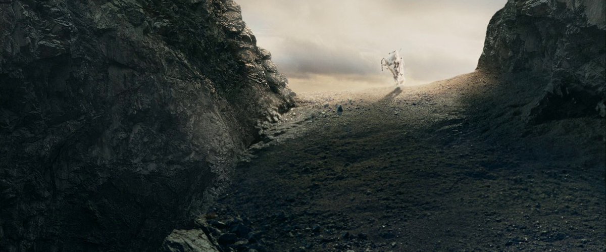 Mike Carolla tweet media