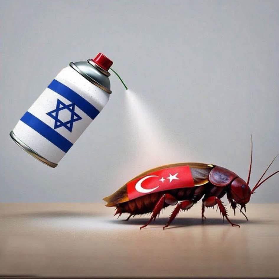 Abdishakuur52's tweet photo. @Asil_Yalnizlik_ @AbdiresakS @Natalia_yael4 Fuck cancer 🇹🇷 https://t.co/5gmIYkeTLQ