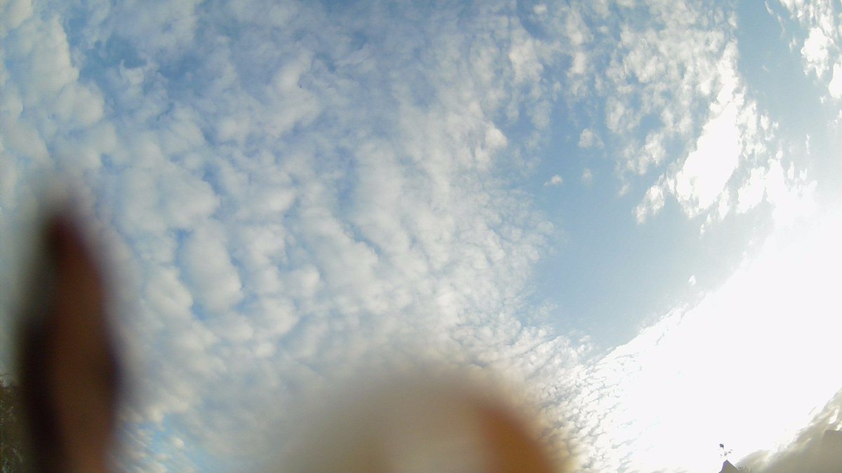 DeepdaleWeather's tweet image. Dry 8.9°C Hum 82 Wind 3.5 mph N (Force 1) - More info &amp;amp; data online deepdalecamping.co.uk/weather/ #Weather #sky