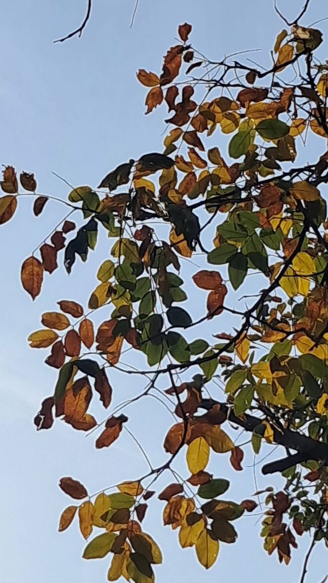 Usha Wildflower 🌱📚 🍀 tweet media