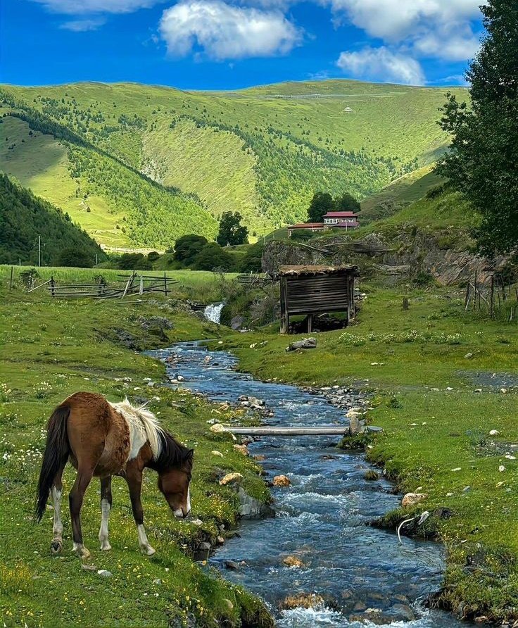 𝑙𝑦𝑟𝑎 tweet media