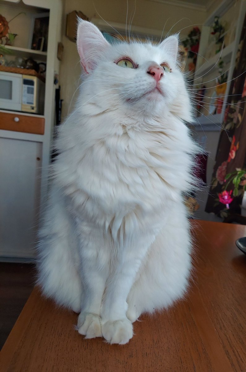 Babette 💟 tweet media