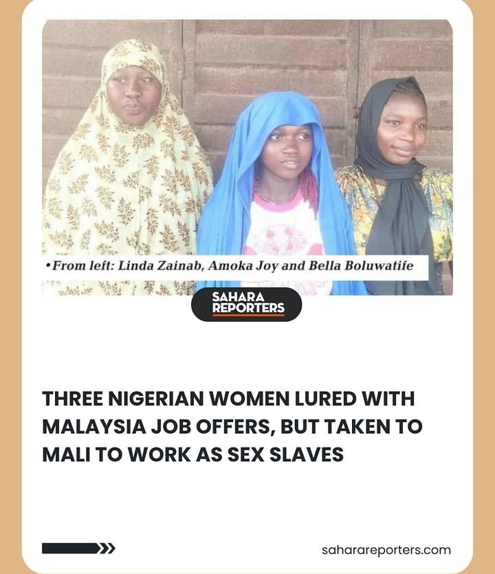 Blue North Initiative tweet media