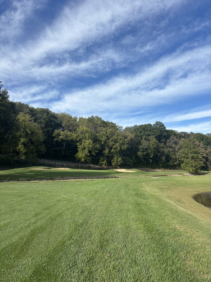 Logan Hall tweet media