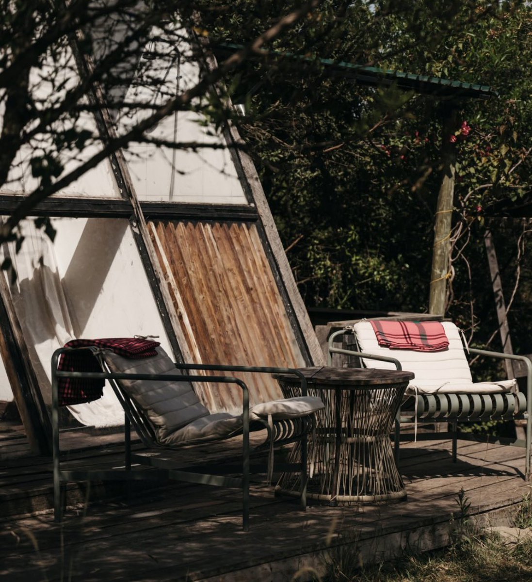 Lai Group Ke tweet media