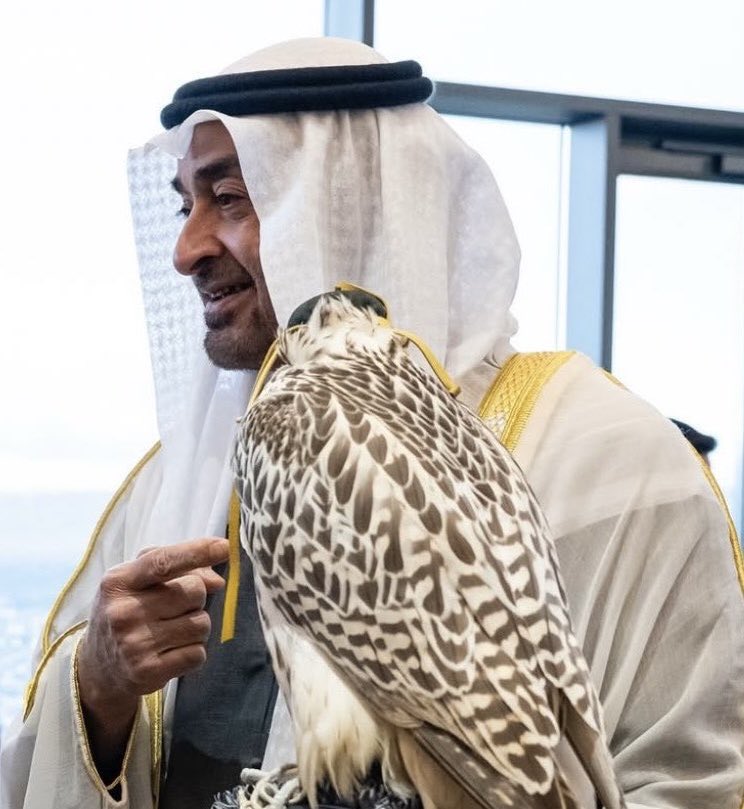 Hmd_Almarar's tweet photo. يا شيخ يا راعي السدود البعايد
انته طبيب العين عندك دواها https://t.co/DcKtOlxgXA