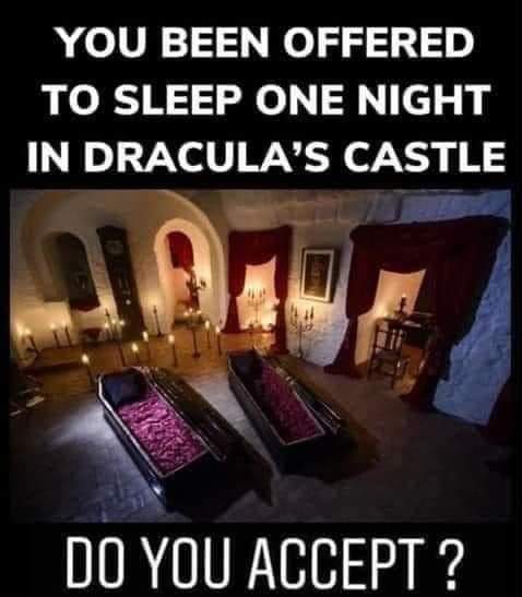 House of Dracula (☥𝐃𝐁) tweet media