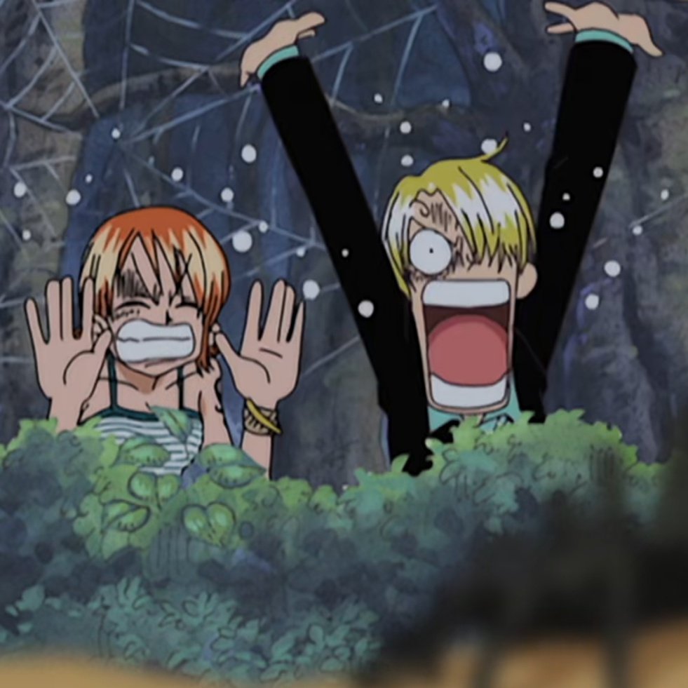 dinha 🍊 tweet media