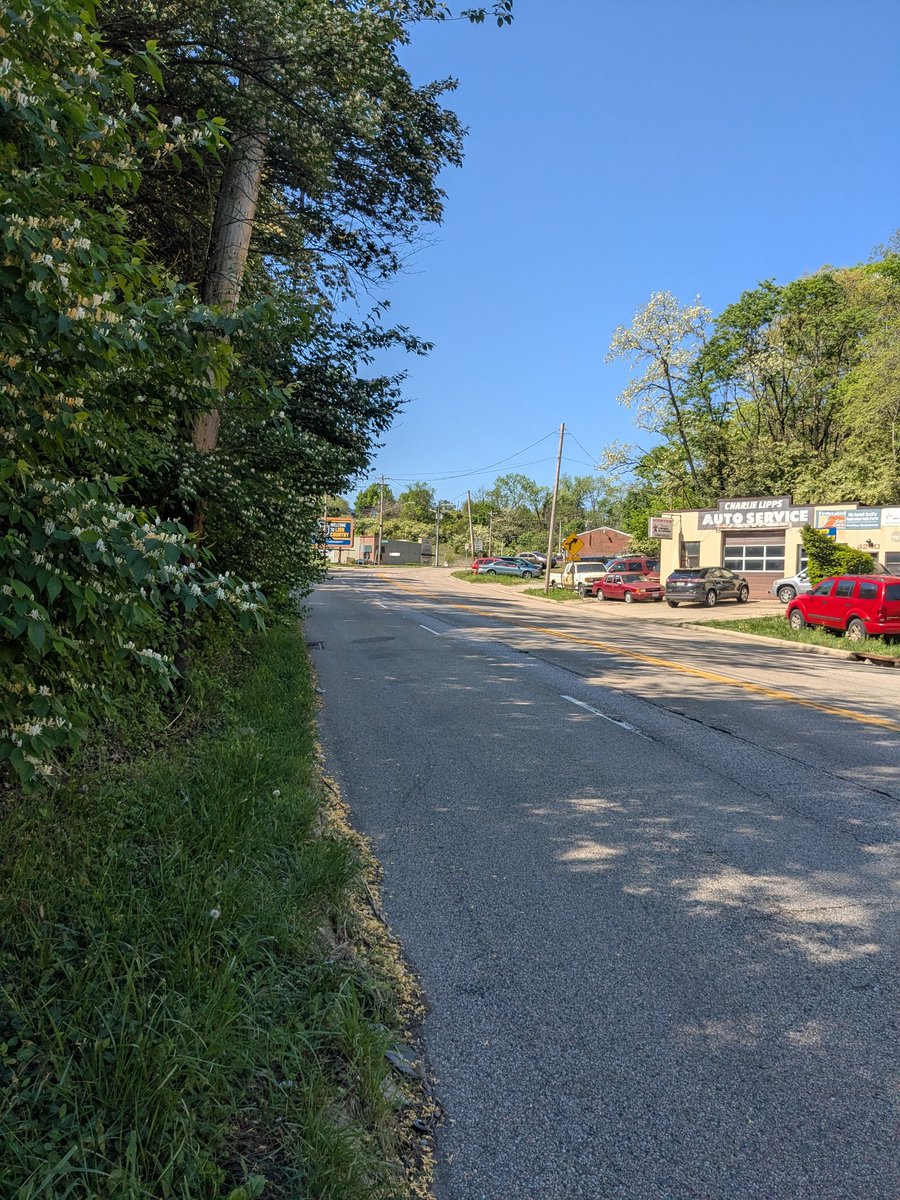 bear 🚲 tweet media