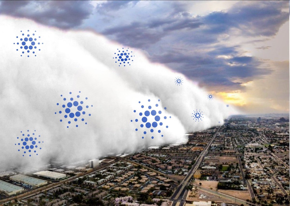 𝙊𝘹𝘾𝙃𝙄𝙀𝙁‗  🐍 tweet media