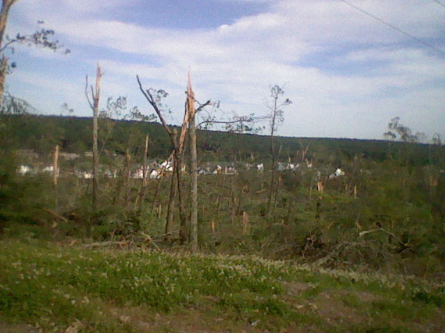 Austin R tweet media