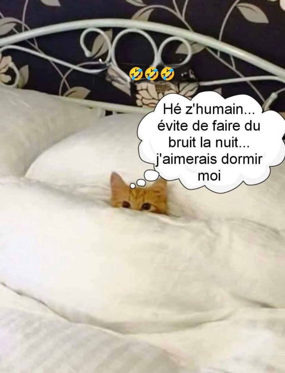 Batriaud Martine tweet media