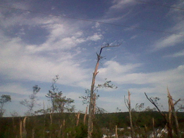 Austin R tweet media