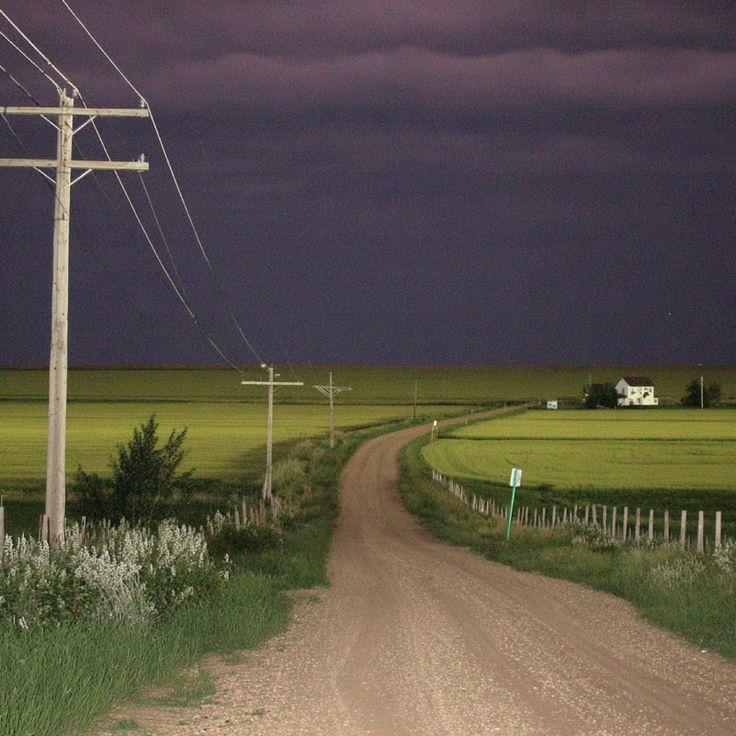 𝑝𝑢𝑟𝑒 tweet media