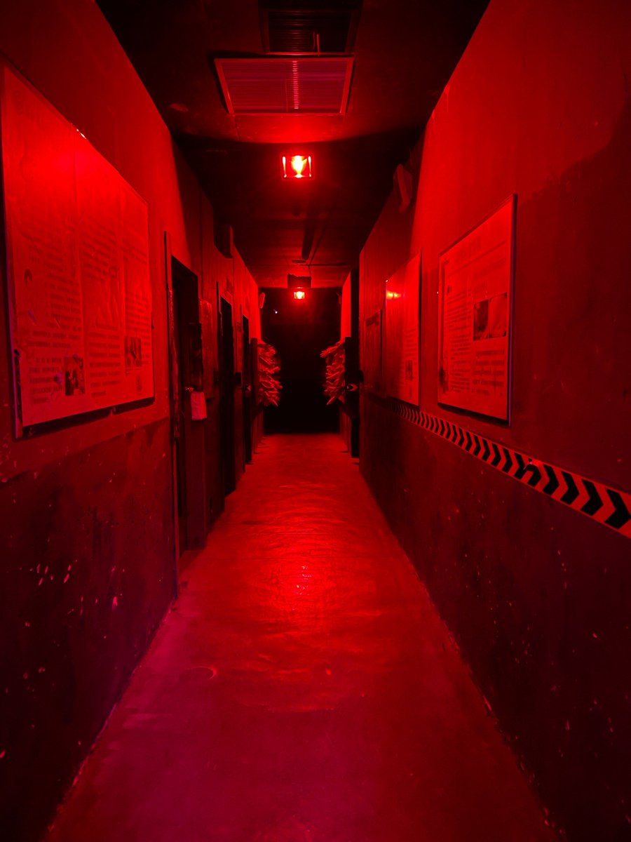 Luca Bosen tweet media