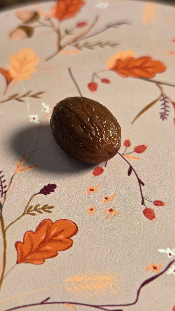 superdalebot's tweet image. You can turn your raisins back into sad grapes by putting them in the dishwasher #lifehack