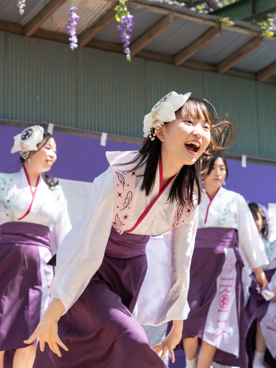 cerberusrei's tweet photo. 2026/04/18

album: https://t.co/oDcEu8u4Os

#彩羽 -iroha-
#国領神社千年乃藤まつり
#よさこい https://t.co/34CWRDVcRb