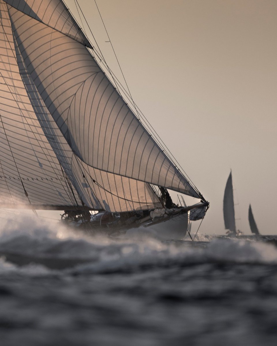 DelightMoments_'s tweet image. #sailing