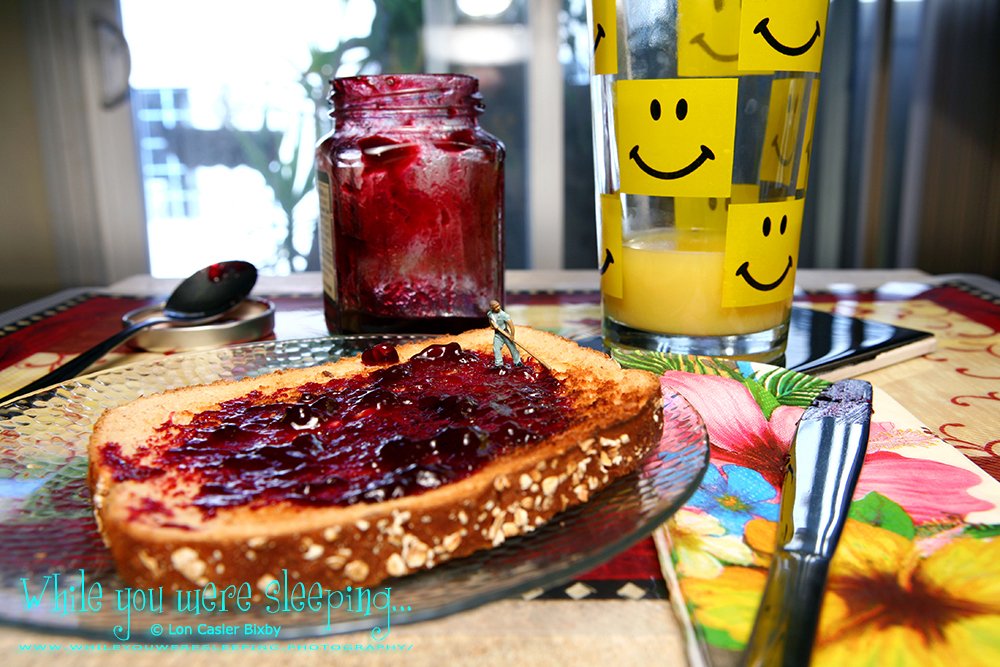 OfficialNeoichi's tweet image. Jammin' Jelly Time

#macrophotography #tinypeoplephotography #foodphotography #jelly #toast #breakfast

whileyouweresleeping.photography