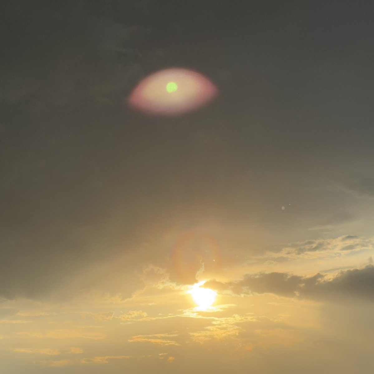 Bego 🐥 tweet media