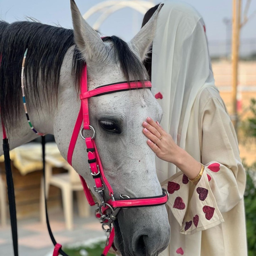 🆂🄰🅱🄰🅷 tweet media