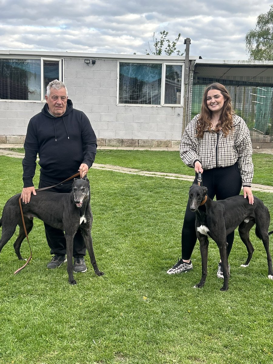 Draper Greyhounds tweet media
