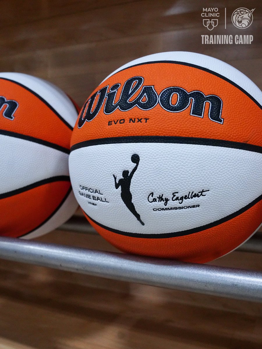 Minnesota Lynx tweet media