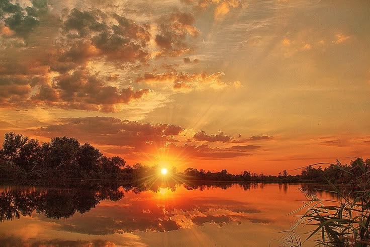 .

Bereket versin 
gökyüzünün tapusu yok. 
Herkes bakabilir. 
Bulutlara kimse el koyamaz. 
Hayal kurma hürriyeti var. 

Cahit Sıtkı Tarancı