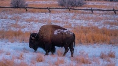 Arthur MacWaters tweet media