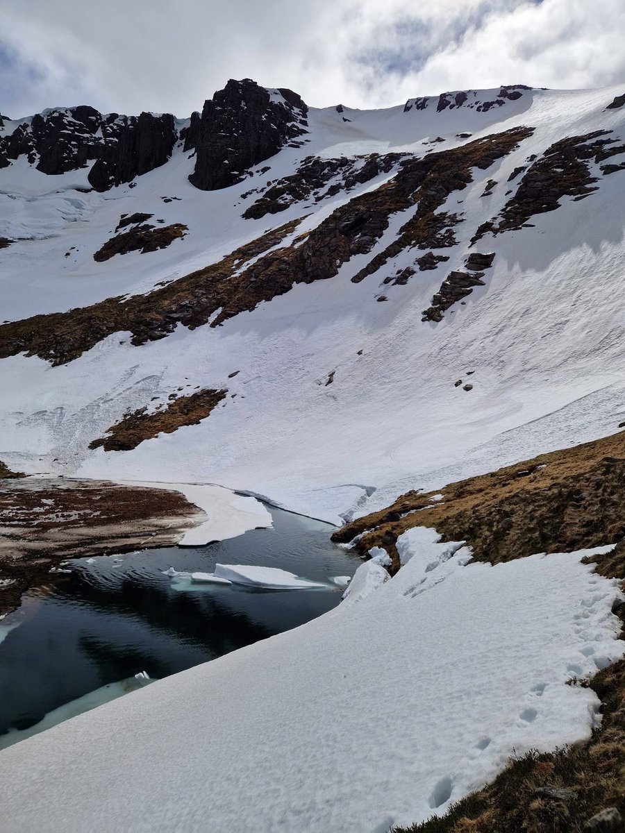 Iain Cameron tweet media