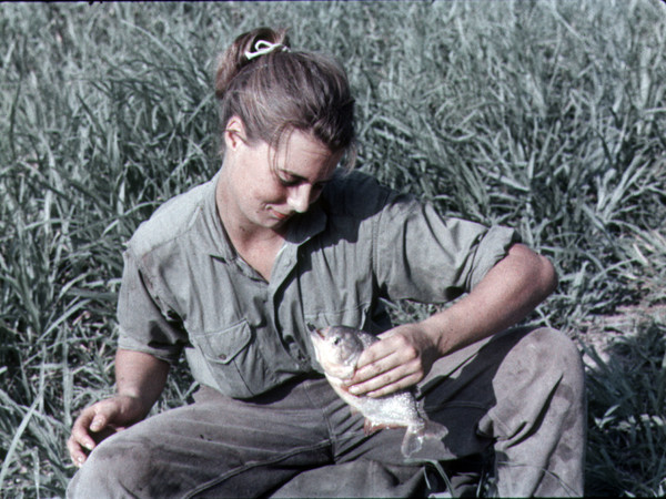 ultras_antifaa's tweet photo. Today is the birthday of Monika Ertl.

Known as “the woman who avenged Che Guevara,” Monika Ertl was the daughter of Hans Ertl, one of Nazi Germany’s leading propaganda filmmakers. After the Second World War, she fled to Bolivia with her family, like many nazi fugitives. Her father continued to associate there with figures such as Klaus Barbie, the Nazi war criminal known as the “Butcher of Lyon.”

However, Monika turned her back on everything that environment represented. In the late 1960s, affected by poverty and injustice in Bolivia, she broke away from the fascist world around her father and became radicalized. After Che Guevara was killed in Bolivia, she joined the National Liberation Army (ELN) that he had founded. Her codename was now “Imilla,” meaning “Little Girl” in an Indigenous language.

The event that made Monika Ertl known worldwide took place on April 1, 1971: the killing of Roberto Quintanilla, Bolivia’s consul in Hamburg and a former intelligence official considered one of those chiefly responsible for Che Guevara’s death. Quintanilla was one of the men who posed beside Che Guevara’s lifeless body and gave the order for his hands to be cut off.

Monika entered the consulate building in Hamburg disguised as an elegant woman. When she came face to face with Quintanilla, she drew her weapon and shot him three times. In the note she left at the scene were the words: “Hasta la victoria o muerte.” This act echoed worldwide as “Che’s revenge.”

After the assassination, Monika returned to Bolivia and continued underground activities. One of her biggest targets was to kidnap Nazi war criminal Klaus Barbie, an old friend of her father who at that time was advising the Bolivian dictatorship.

However, on May 12, 1973, she was ambushed by Bolivian security forces. She was killed in a clash in the streets of La Paz. Her grave was kept secret and her body was never handed over to her family.

Monika Ertl became one of the most extreme examples of devotion to a cause by rejecting her origins and privileged life. As both a German and a Bolivian revolutionary, she became one of the symbols of the anti-fascist bridge between Europe and Latin America.