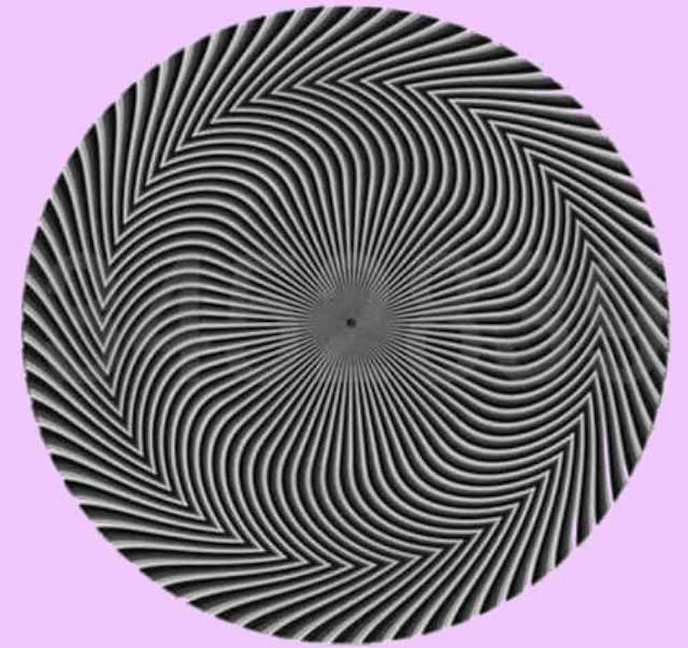 Fan Mazi Tuunde tweet media