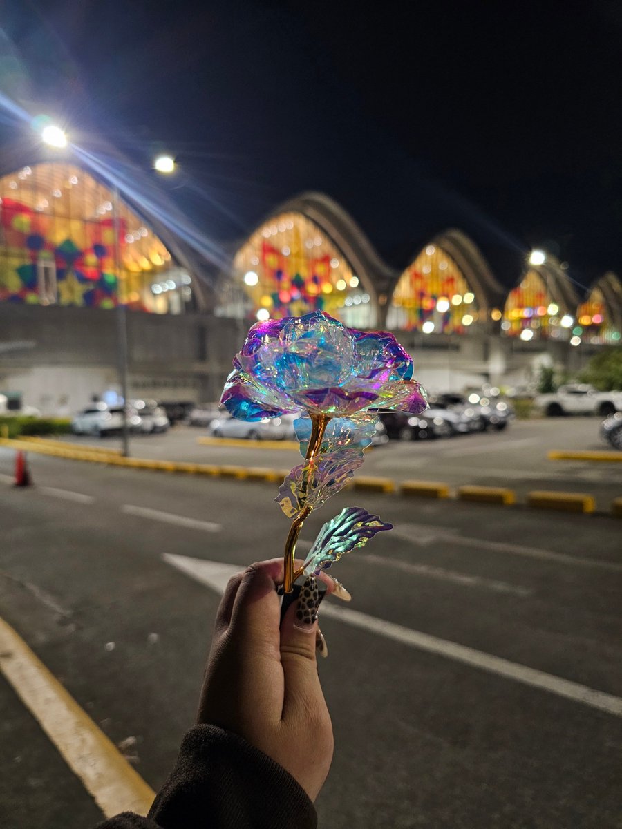 yepitsMaeh •᎑• - ia 🐥⚜️❄️✨ tweet media