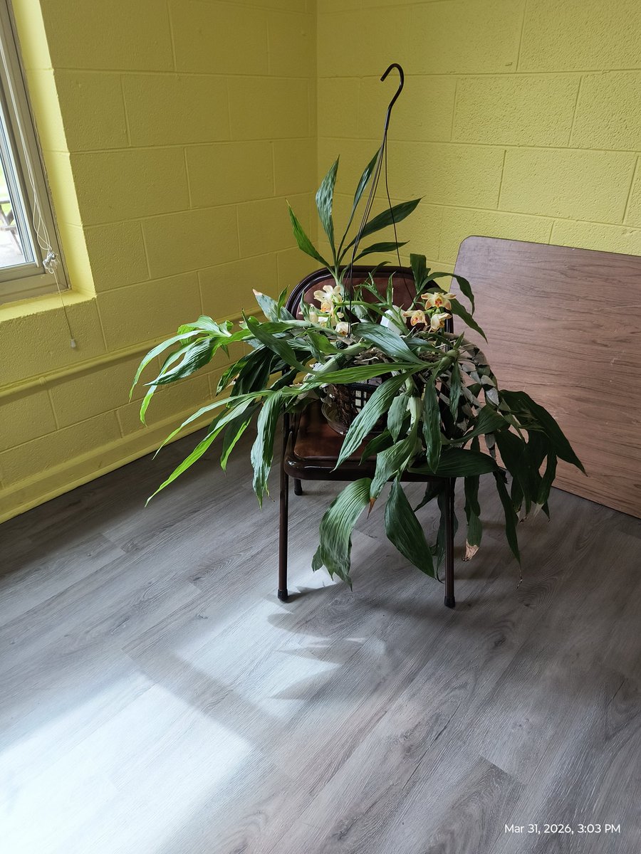 Bob Hydzik tweet media